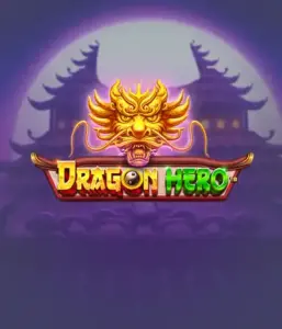 Join a fantastic quest with the Dragon Hero game by Pragmatic Play, highlighting stunning graphics of powerful dragons and heroic battles. Discover a world where magic meets excitement, with featuring treasures, mystical creatures, and enchanted weapons for a captivating gaming experience.